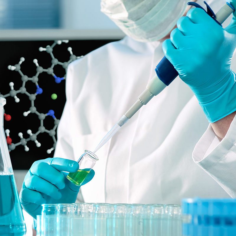 Extraction-Services autogen-extraction-services