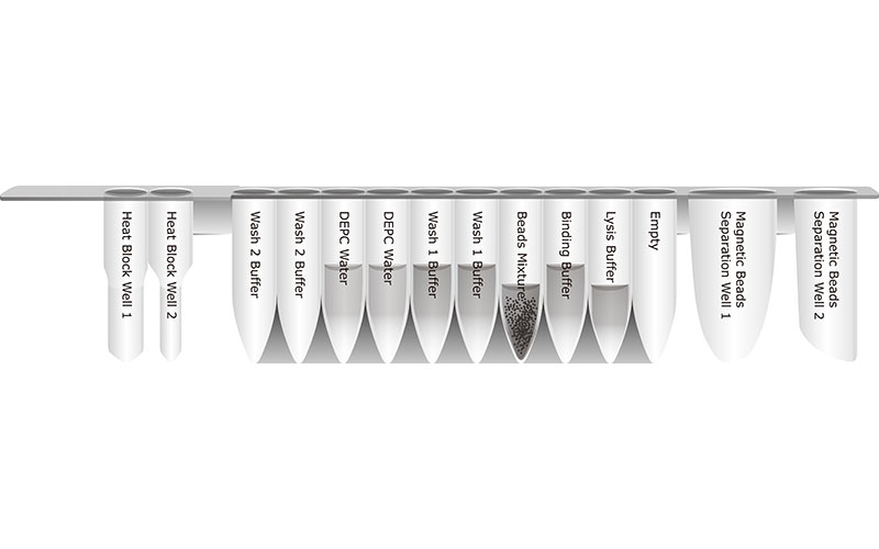 autogen consumables XTRACT 16+® Cultured Cells DNA Kit