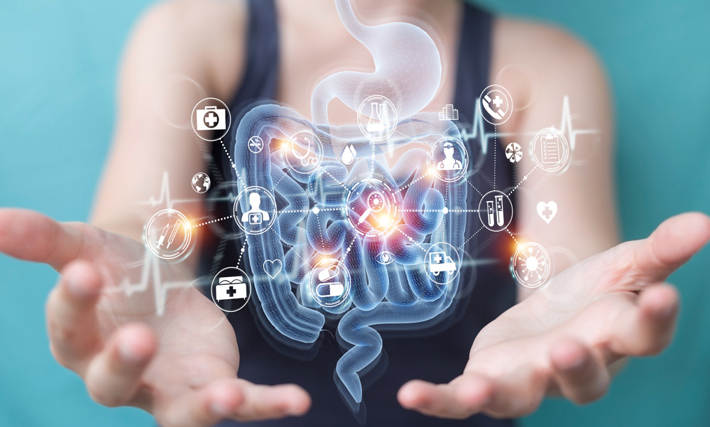 autogen workflows for Microbiome