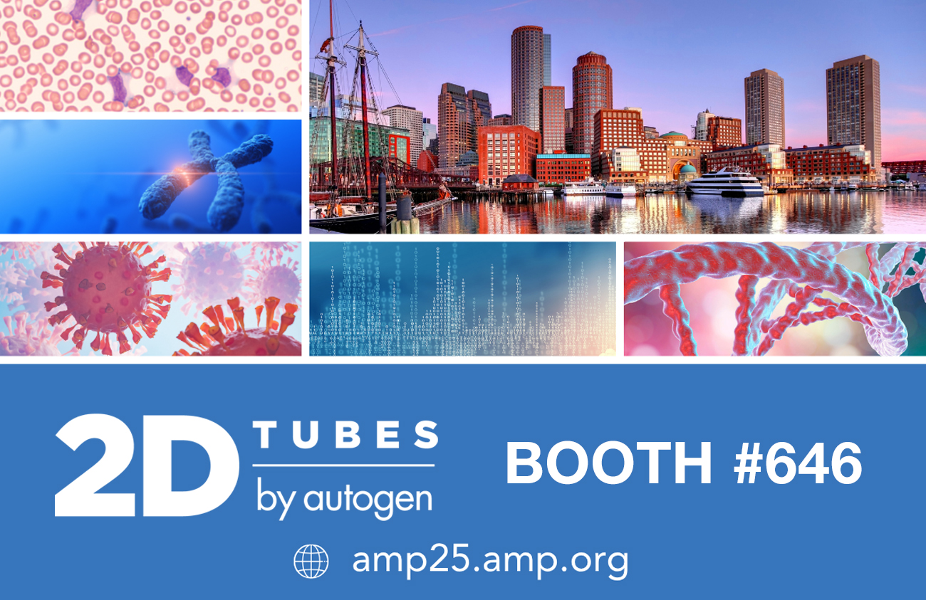 Featured image for “2D Tubes by AutoGen at AMP 25”
